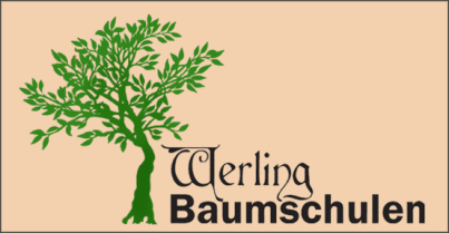 (c) Baumschulen-werling.de